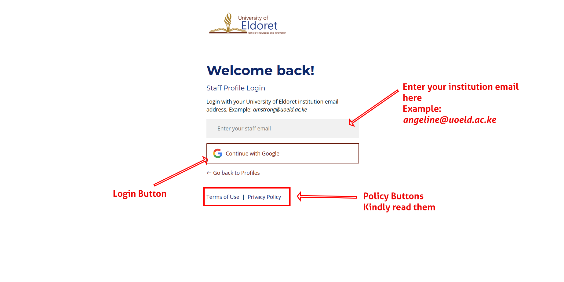 screenshot showing the login page with the email input field and "Continue with Google" button highlighted
